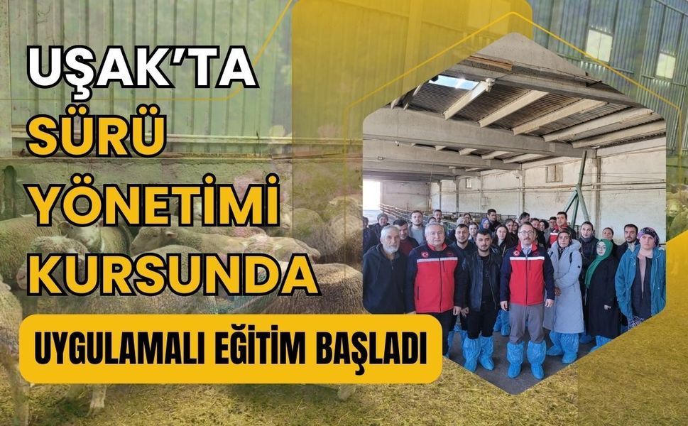 Uşak’ta Sürü Yönetimi Kursunda Uygulamalı Eğitim Başladı