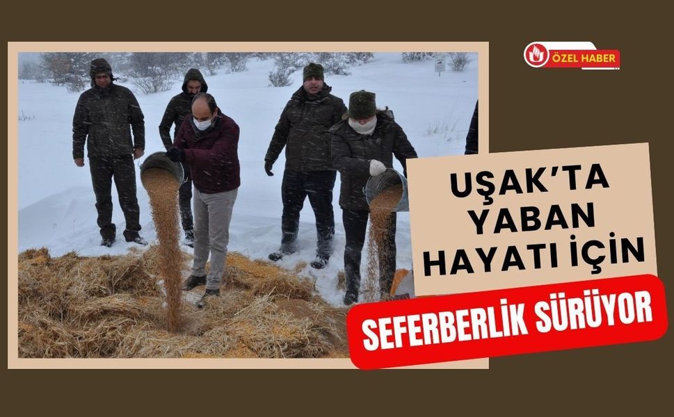 Uşak’ta Yaban Hayatı İçin Seferberlik Sürüyor