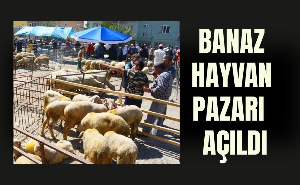 Banaz Hayvan Pazarı 14 Ay Sonra Yeniden Açıldı