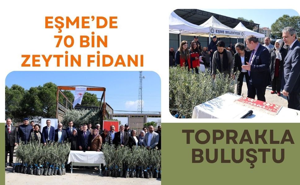 Eşme’de 70 Bin Zeytin Fidanı Toprakla Buluştu
