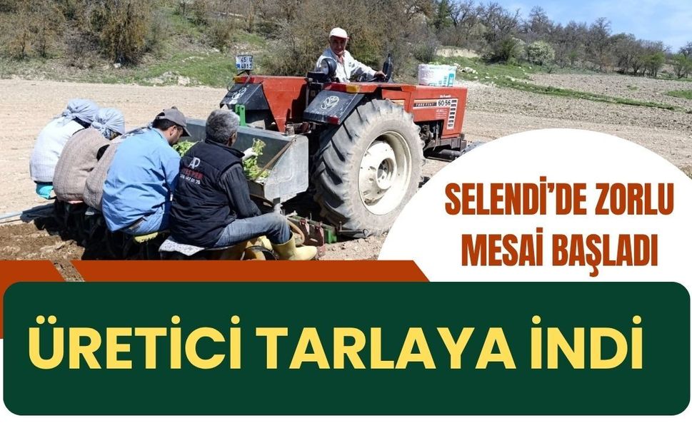 Selendi’de Zorlu Mesai Başladı: Üretici Tarlaya İndi