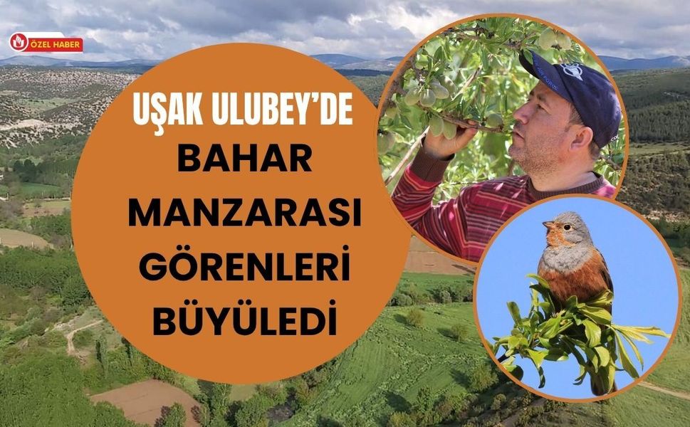 Uşak Ulubey’de Bahar Manzarası Görenleri Büyüledi
