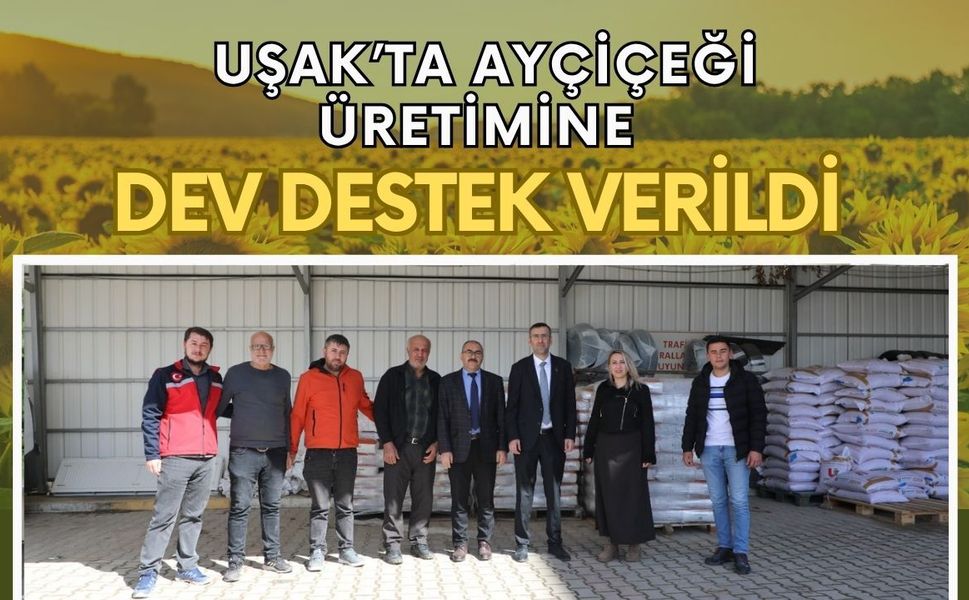 Uşak’ta Ayçiçeği Üretimine Dev Destek Verildi