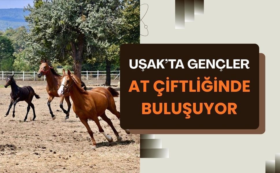 Uşak’ta Gençler At Çiftliğinde Buluşuyor
