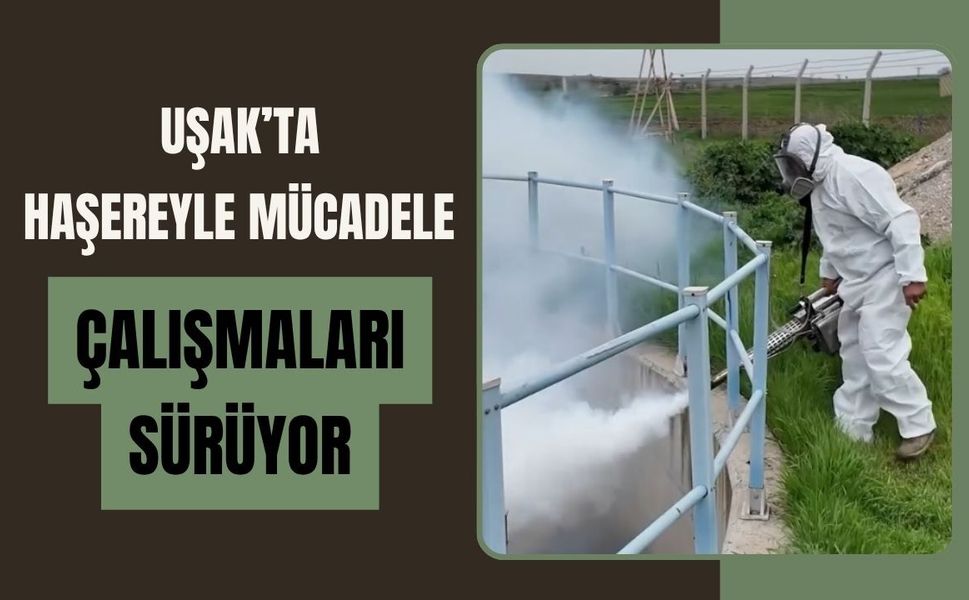 Uşak’ta Haşereyle Mücadele Çalışmaları Sürüyor