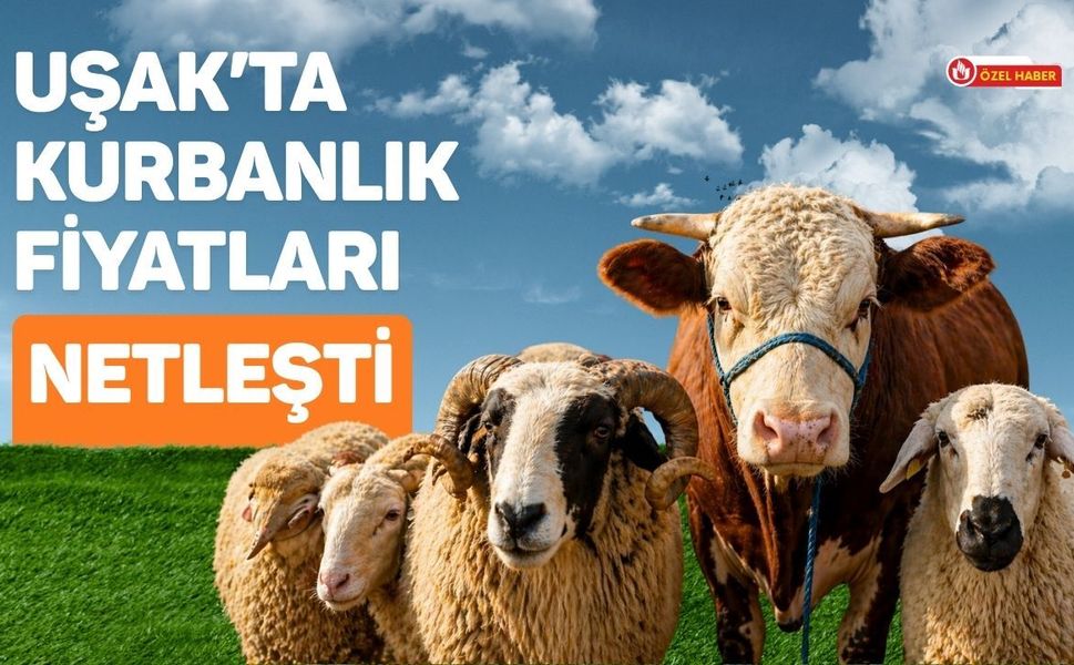 Uşak’ta Kurbanlık Fiyatları Netleşti: Küçükbaş ve Hisse Bedelleri Belli Oldu