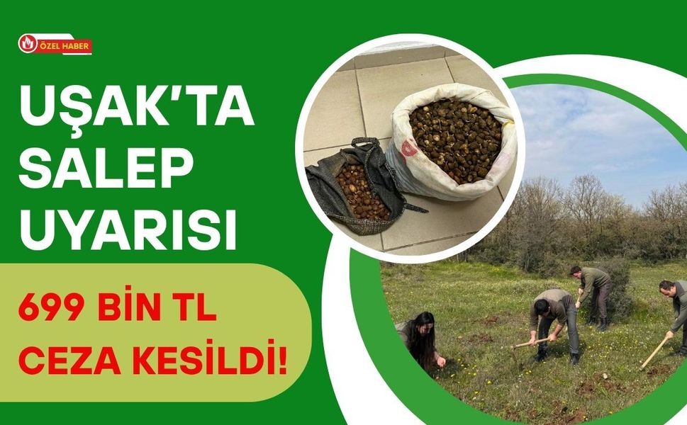 Uşak’ta Salep Uyarısı: 699 Bin TL Ceza Kesildi!