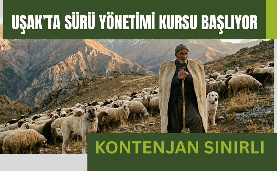 Uşak’ta Sürü Yönetimi Kursu Başlıyor: Kontenjan Sınırlı