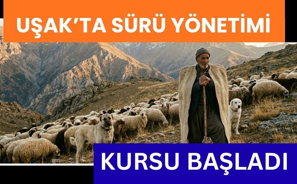 Uşak’ta Sürü Yönetimi Kursu Başladı