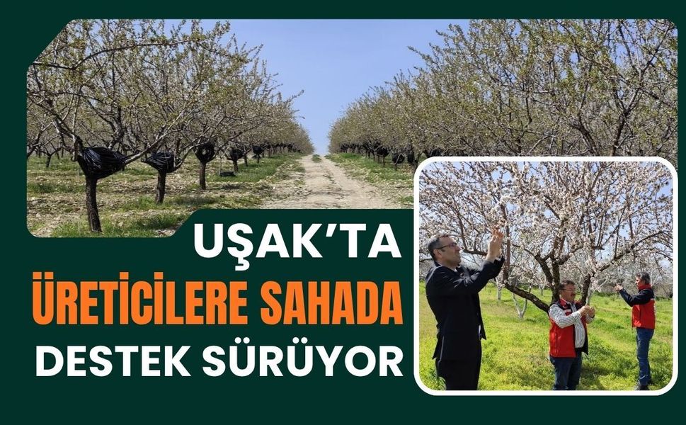 Uşak’ta Üreticilere Sahada Destek Sürüyor