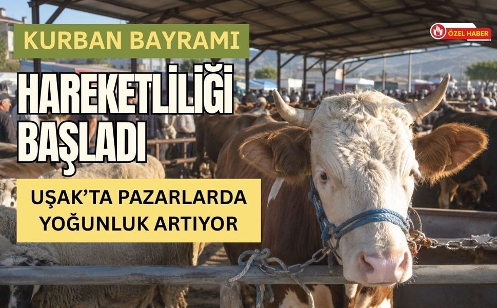 Kurban Bayramı Hareketliliği Başladı, Uşak’ta Pazarlarda Yoğunluk Artıyor