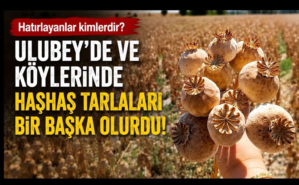 Ulubey’de Bir Zamanlar Yaz Böyle Başlardı: Haşhaş Tarlalarının Kokusu Hala Unutulmuyor