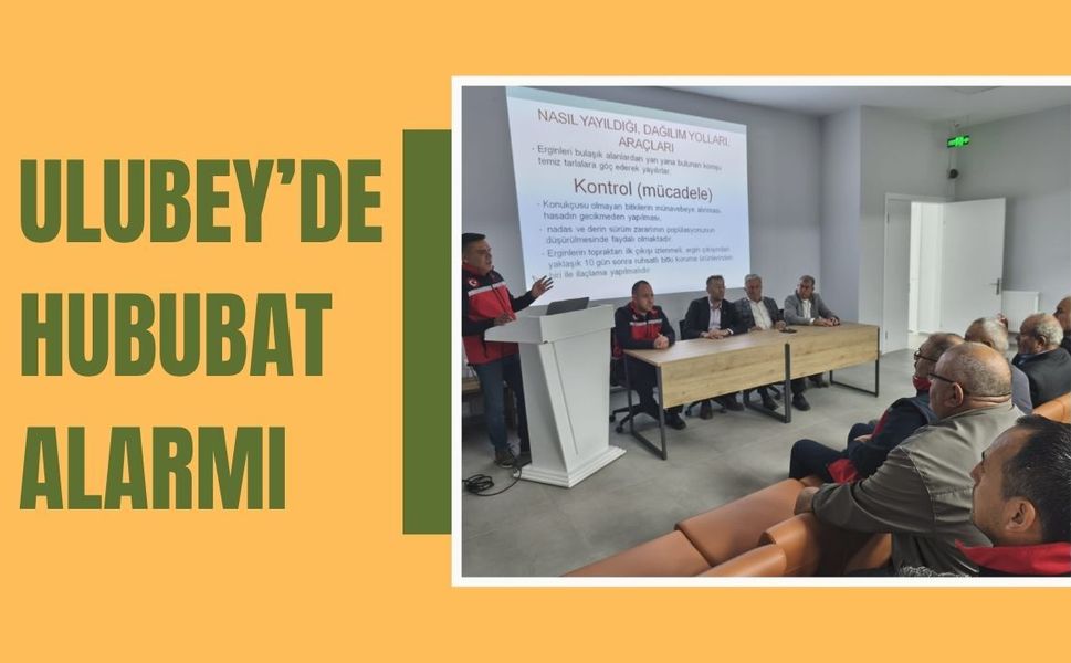 Ulubey’de Hububat Alarmı: Üreticilere Sahada Mücadele Uyarısı