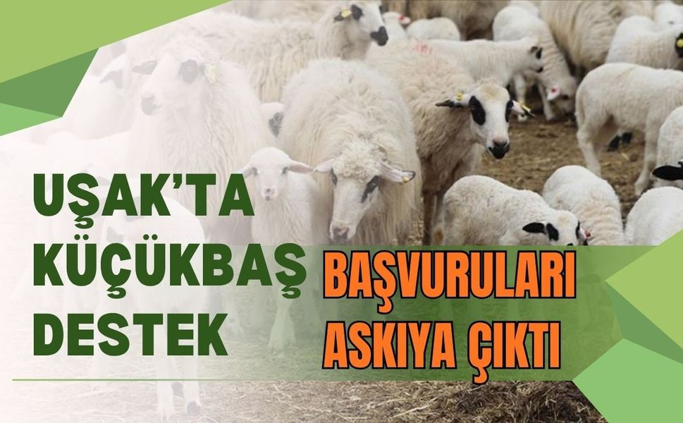 Uşak’ta Küçükbaş Destek Başvuruları Askıya Çıktı