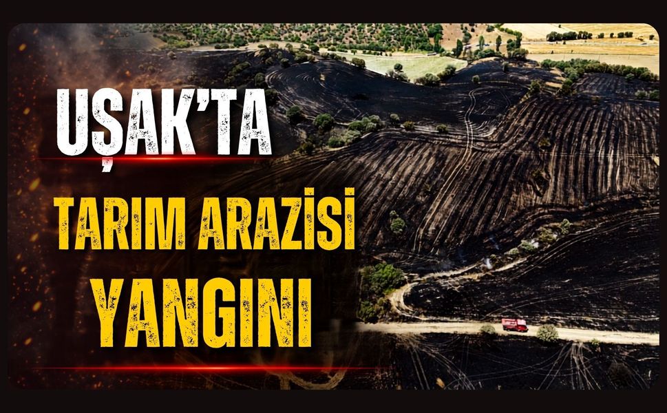 Uşak'ta Tarım Arazisi Yangını Kontrol Altına Alındı