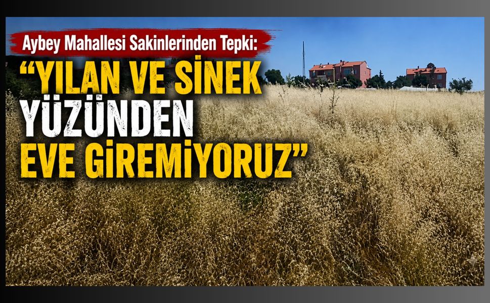 Aybey Mahallesi Sakinlerinden Tepki: “Yılan ve Sinek Yüzünden Eve Giremiyoruz"