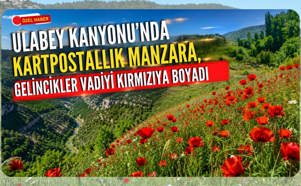 Ulubey Kanyonu'nda Kartpostallık Manzara, Gelincikler Vadeyi Kırmızıya Boyadı