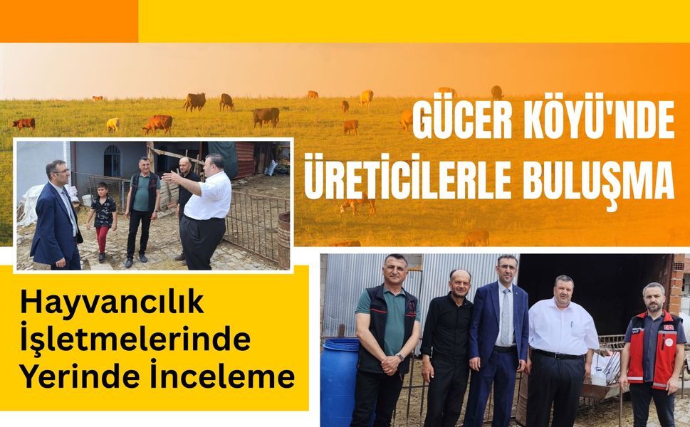 Gücer Köyü'nde Üreticilerle Buluşma, Hayvancılık İşletmelerinde Yerinde İnceleme
