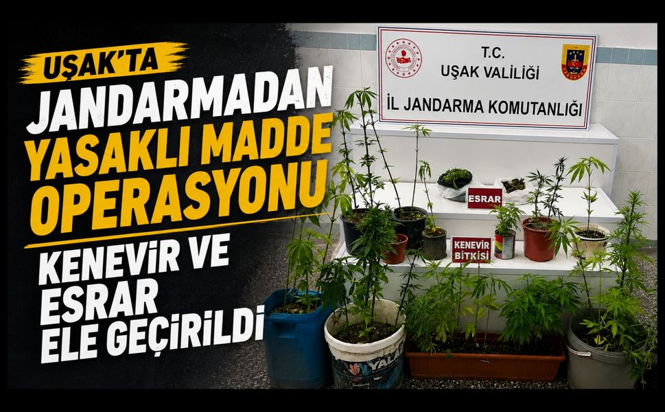 Uşak'ta Jandarmadan Yasaklı Madde Operasyonu, Kenevir ve Esrar Ele Geçirildi