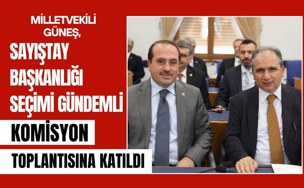 Milletvekili Güneş, Sayıştay Başkanlığı Seçimi Gündemli Komisyon Toplantısına Katıldı