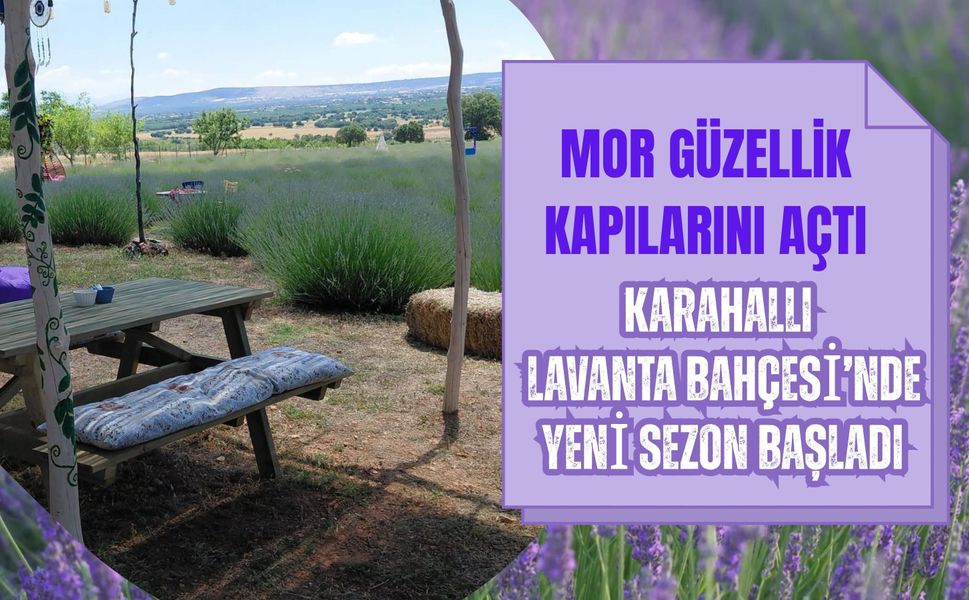 Mor Güzellik Kapılarını Açtı, Karahallı Lavanta Bahçesi’nde Yeni Sezon Başladı