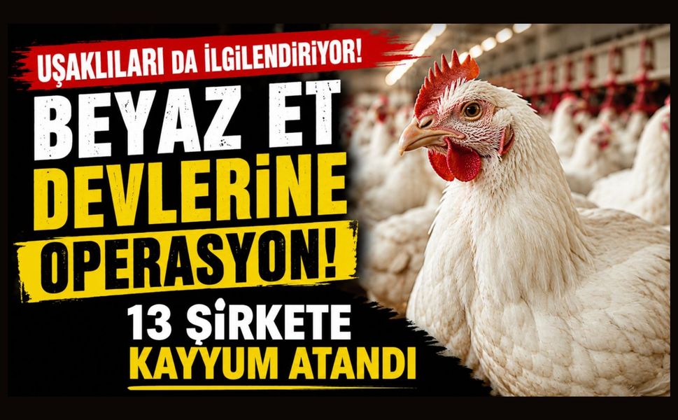 Uşaklıları da İlgilendiriyor! Beyaz Et Devlerine Operasyon, 13 Şirkete Denetim Kayyumu Atandı