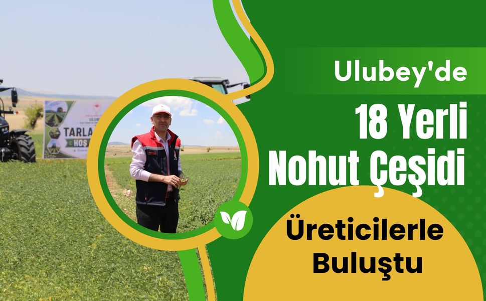 Ulubey'de 18 Yerli Nohut Çeşidi Üreticilerle Buluştu