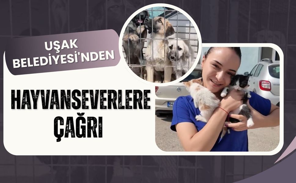 Uşak Belediyesi'nden Hayvanseverlere Çağrı: "Satın Almayın, Sahiplenin"