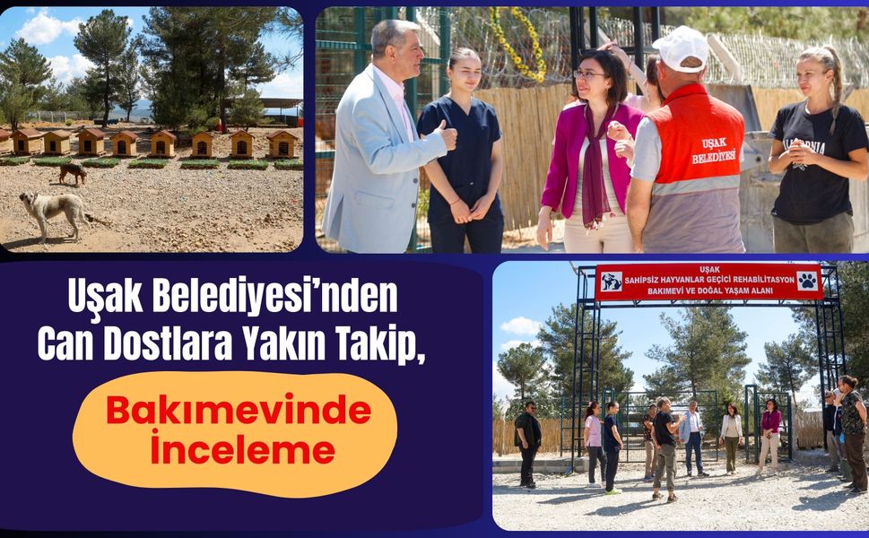 Uşak Belediyesi’nden Can Dostlara Yakın Takip, Bakımevinde İnceleme