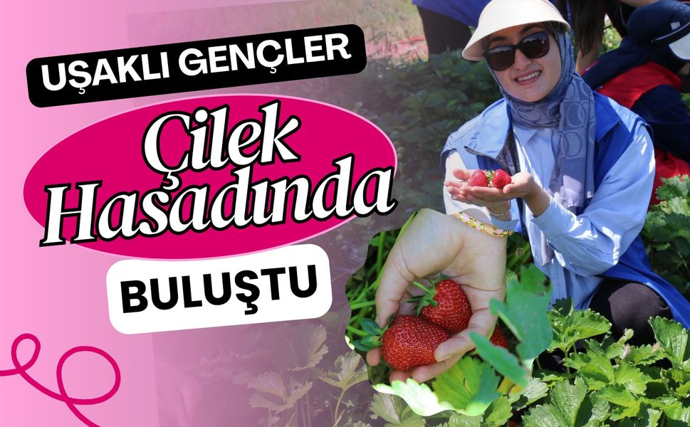 Uşaklı Gençler Çilek Hasadında Buluştu