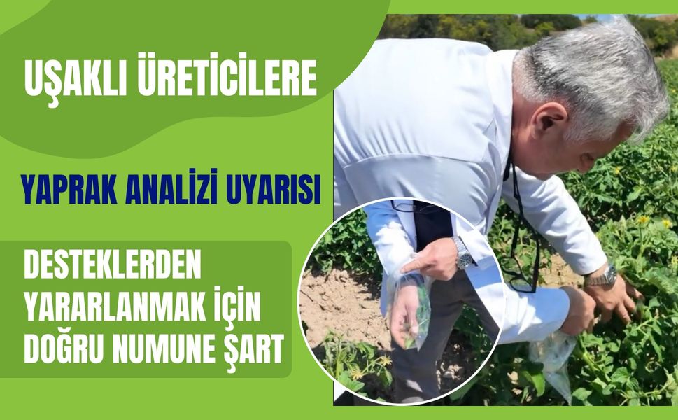 Uşaklı Üreticilere Yaprak Analizi Uyarısı, Desteklerden Yararlanmak İçin Doğru Numune Şart