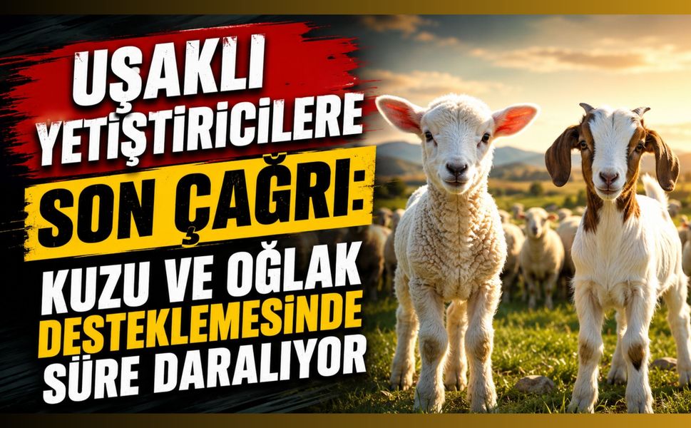 Uşaklı Yetiştiricilere Son Çağrı: Kuzu ve Oğlak Desteklemesinde Süre Daralıyor