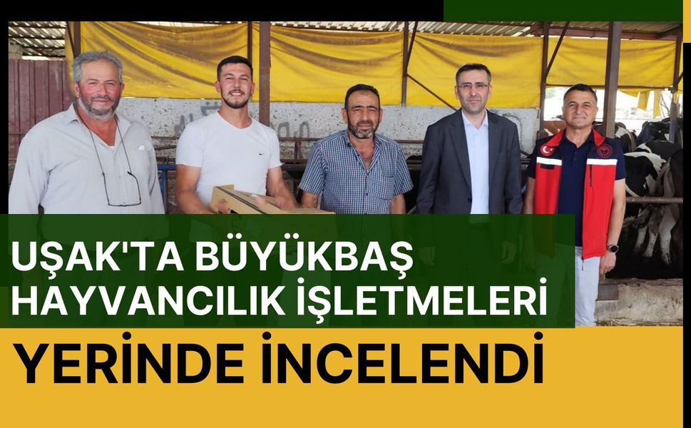 Uşak'ta Büyükbaş Hayvancılık İşletmeleri Yerinde İncelendi
