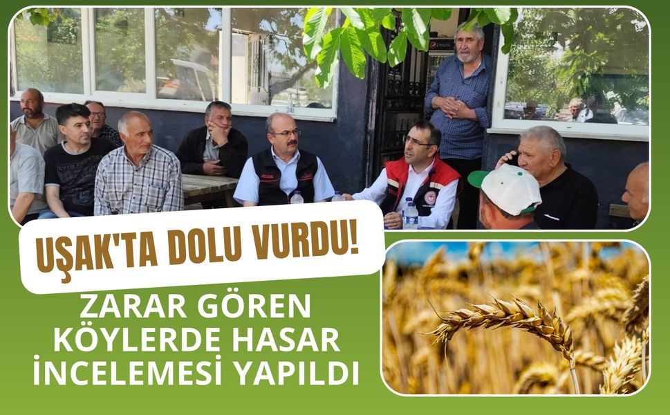 Uşak'ta Dolu Vurdu! Zarar Gören Köylerde Hasar İncelemesi Yapıldı