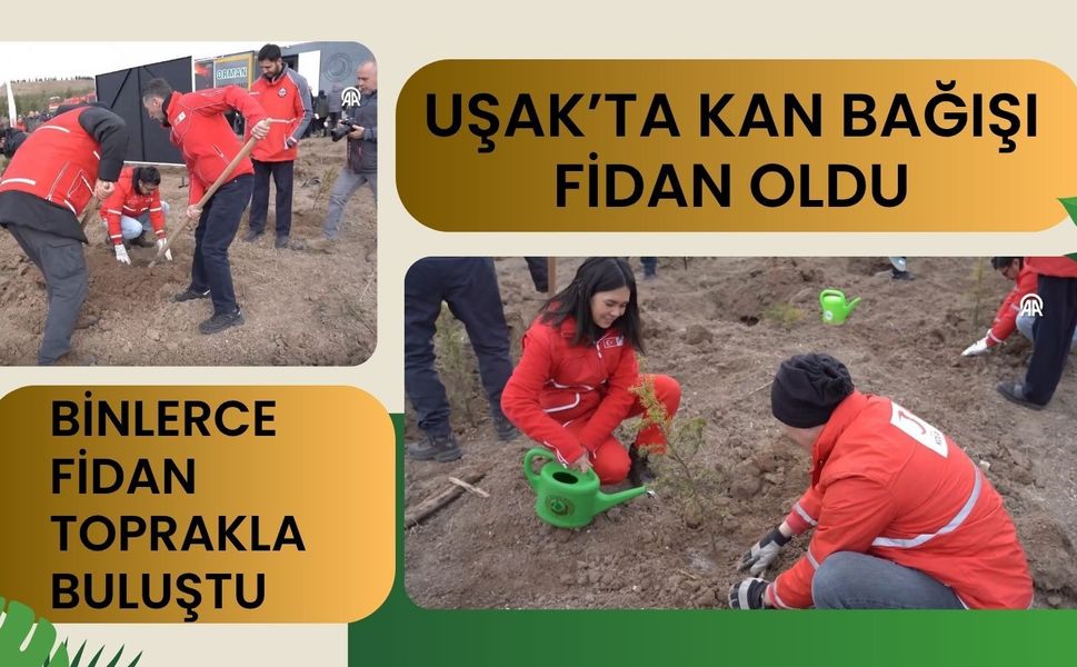 Uşak’ta Kan Bağışı Fidan Oldu: Binlerce Fidan Toprakla Buluştu