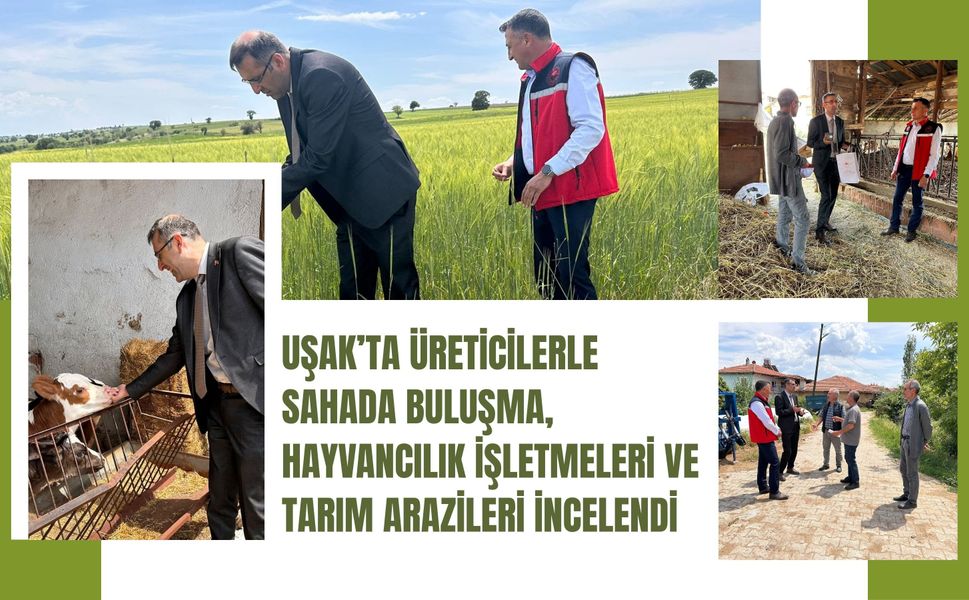 Uşak’ta Üreticilerle Sahada Buluşma, Hayvancılık İşletmeleri ve Tarım Arazileri İncelendi