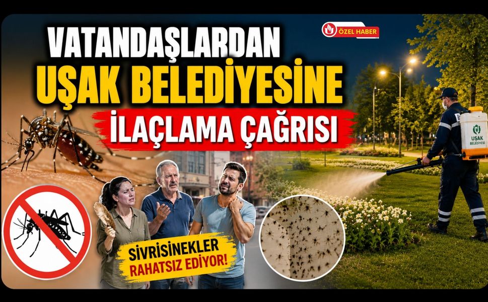 Vatandaşlardan Uşak Belediyesine İlaçlama Çağrısı