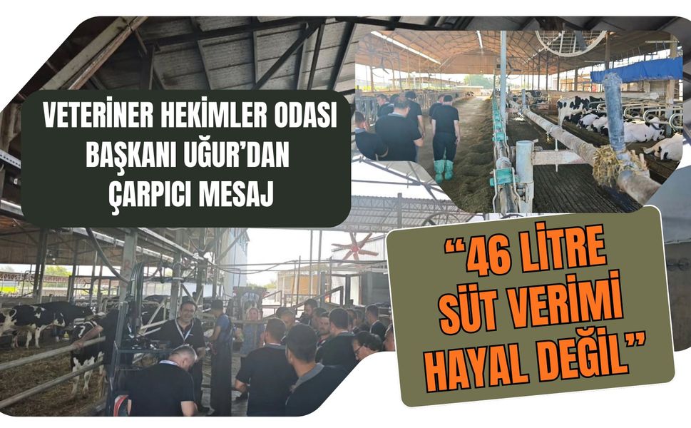 Veteriner Hekimler Odası Başkanı Uğur’dan Çarpıcı Mesaj: “46 Litre Süt Verimi Hayal Değil”