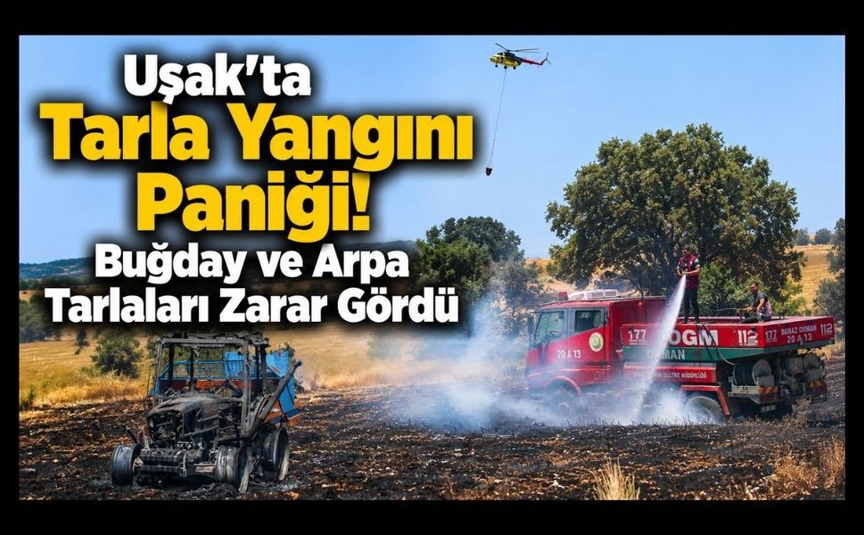 Uşak'ta Buğday ve Arpa Tarlaları Zarar Gördü