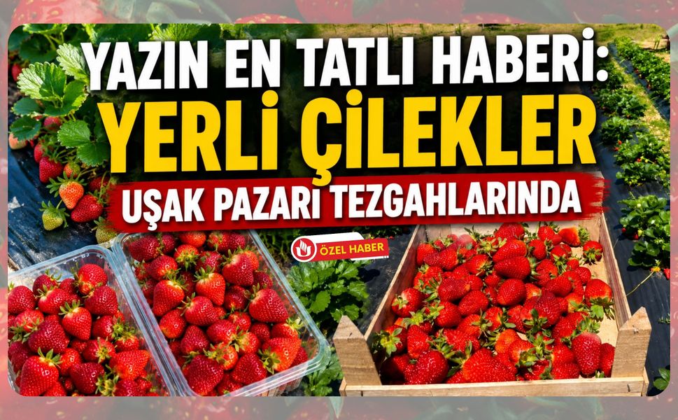 Yazın En Tatlı Haberi, Yerli Çilekler Uşak Pazarı Tezgahlarında
