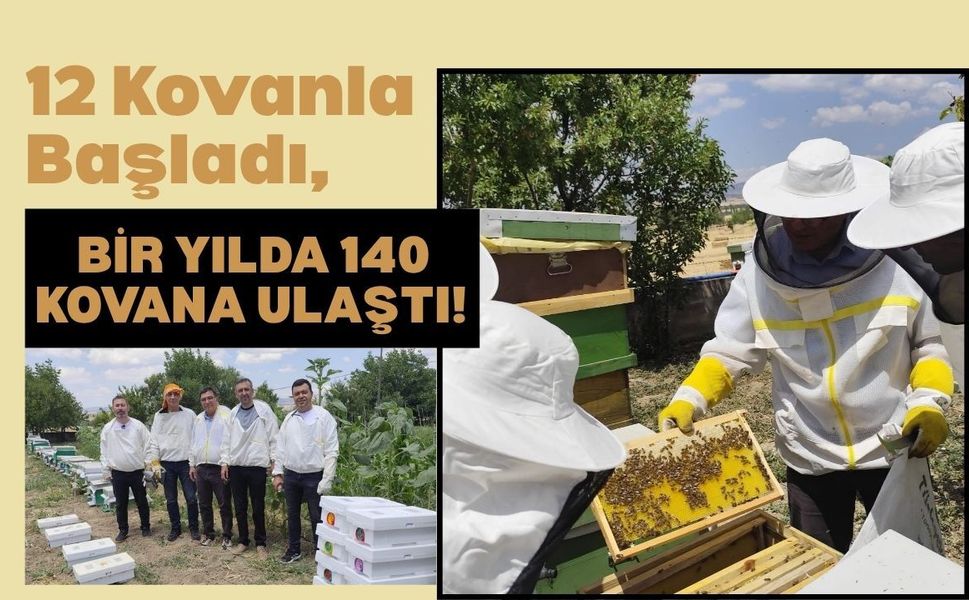 12 Kovanla Başladı, Bir Yılda 140 Kovana Ulaştı! Uşaklı Arıcının Başarısı Dikkat Çekti