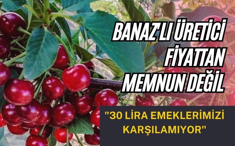 Banaz'lı Üretici Fiyattan Memnun Değil: "30 Lira Emeklerimizi Karşılamıyor"