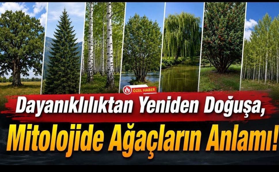 Dayanıklılıktan Yeniden Doğuşa, Mitolojide Ağaçların Anlamı!