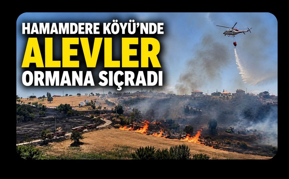 Hamamdere Köyü'nde Alevler Ormana Sıçradı