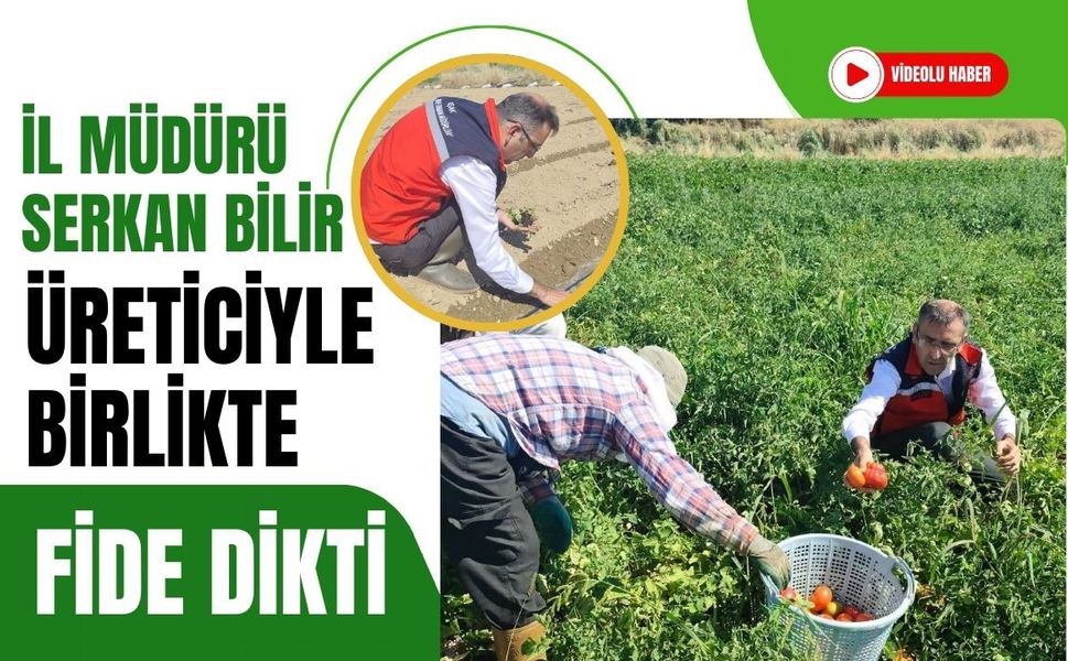 İl Müdürü Serkan Bilir Üreticiyle Birlikte Fide Dikti