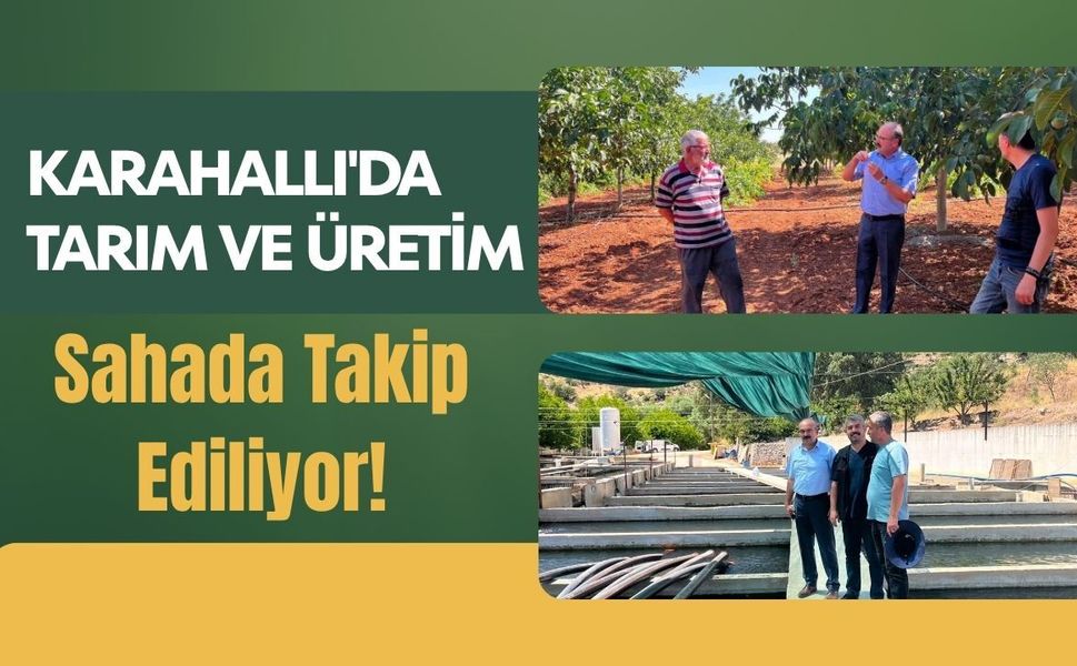 Karahallı'da Tarım ve Üretim Sahada Takip Ediliyor! İlçe Müdürü Atalay'dan Üreticilere Ziyaret