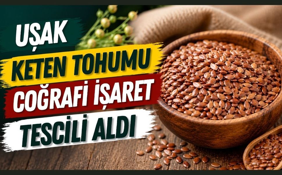 Uşak Keten Tohumu Coğrafi İşaret Tescili Aldı
