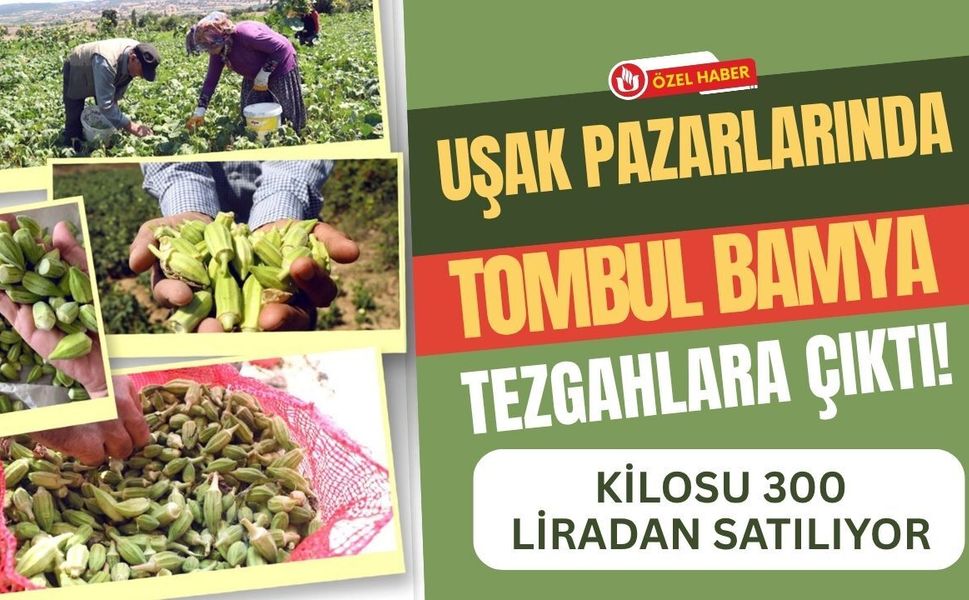 Uşak Pazarlarında Tombul Bamya Tezgahlara Çıktı! Kilosu 300 Liradan Satılıyor