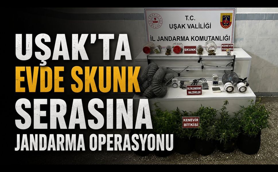 Uşak'ta Evde Skunk Serasına Jandarma Operasyonu