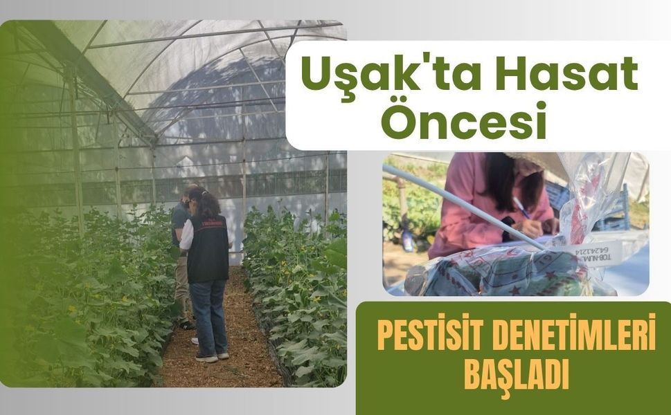 Uşak'ta Hasat Öncesi Pestisit Denetimleri Başladı